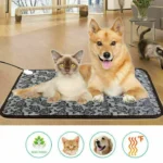 How Training a Dog Early Makes a Big Difference in Their Behavior Later