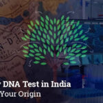 Unlocking the Past: The Power of an Ancestry Test