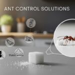 Ant Control Ajax
