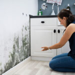 “Mould growth in rental property due to landlord neglect”