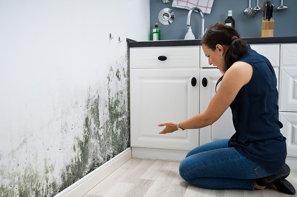 “Mould growth in rental property due to landlord neglect”
