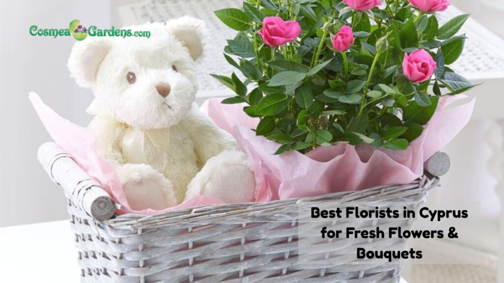 florist cyprus