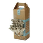 mushroom boxes