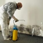 mold removal