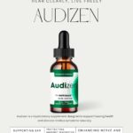 Audizen