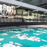 Cost Analysis for Setting up a Digital Textile Printer Manufacturing Plant | Report by IMARC Group