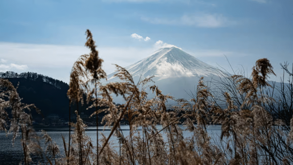 Mount Fuji lakes and forests tour