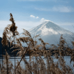 Mount Fuji lakes and forests tour