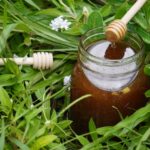 sidr honey uae