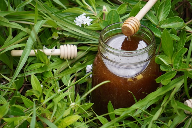 sidr honey uae
