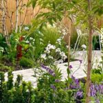 Patio contractors in cheshire