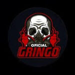 Gringo XP App Download APK (Official Website) For Android 2025